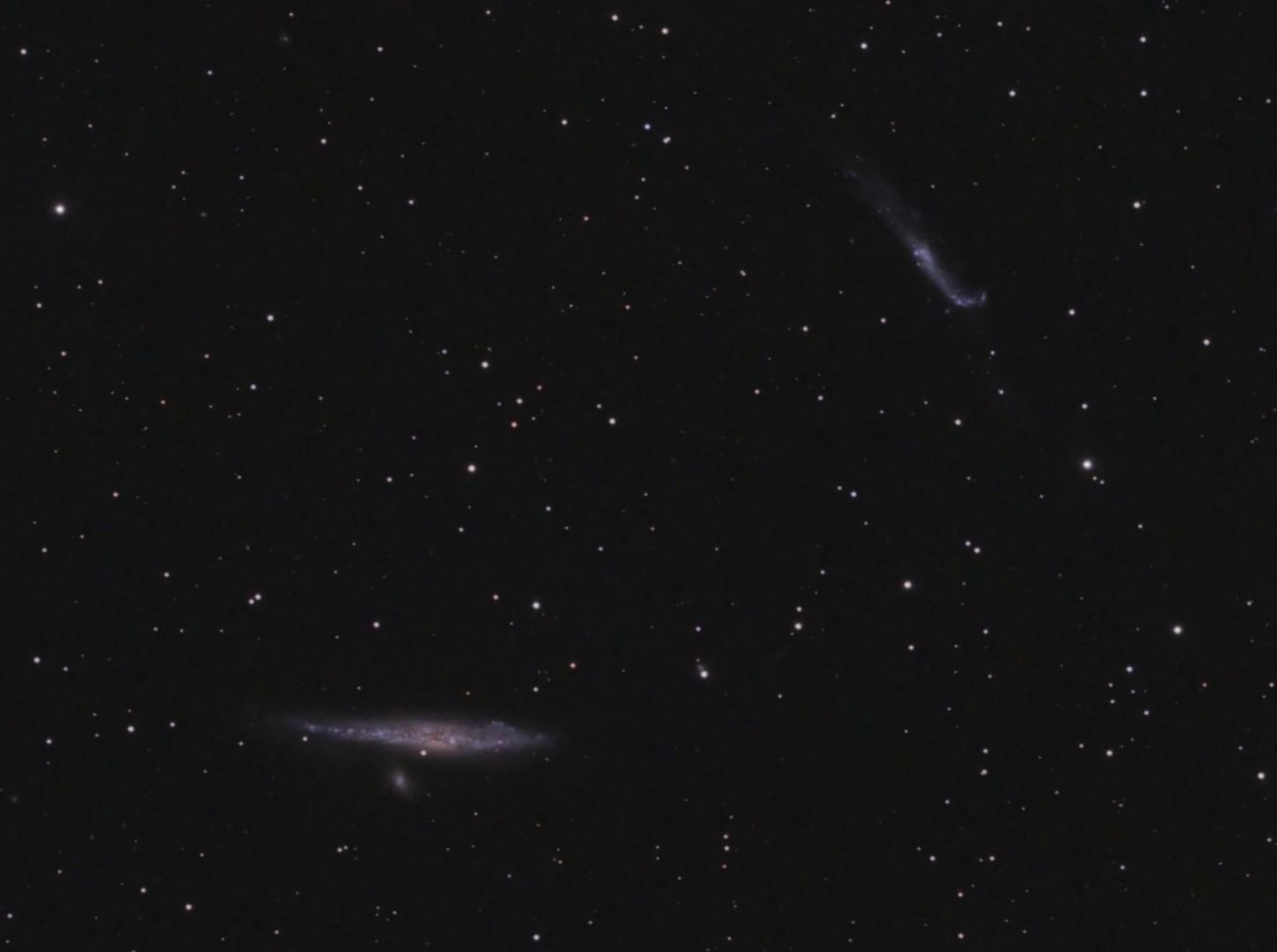 NGC4631-crop