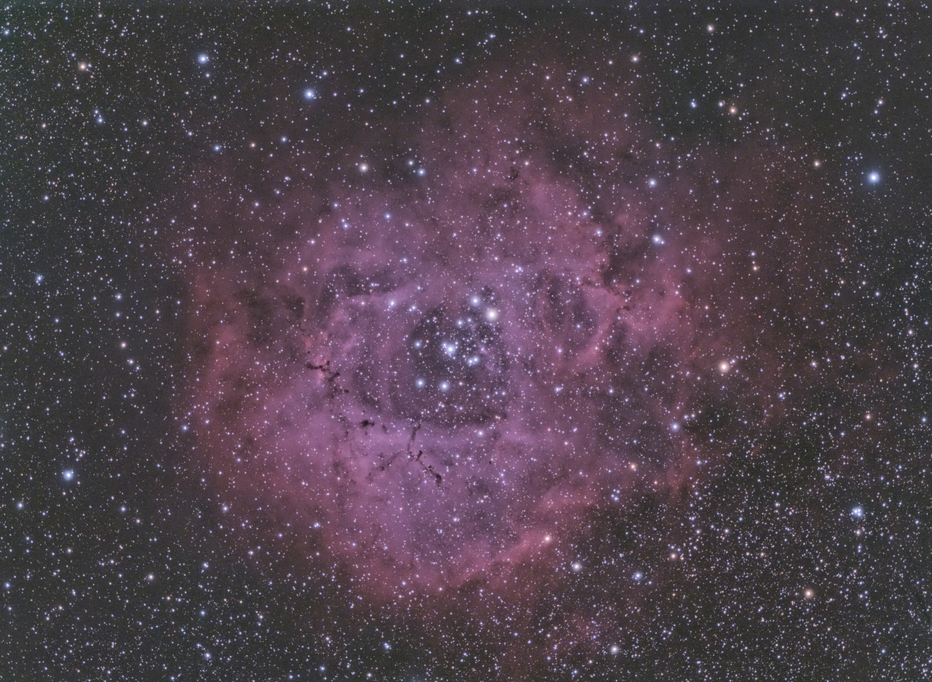 NGC2244