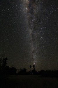Milky Way landscape                      
